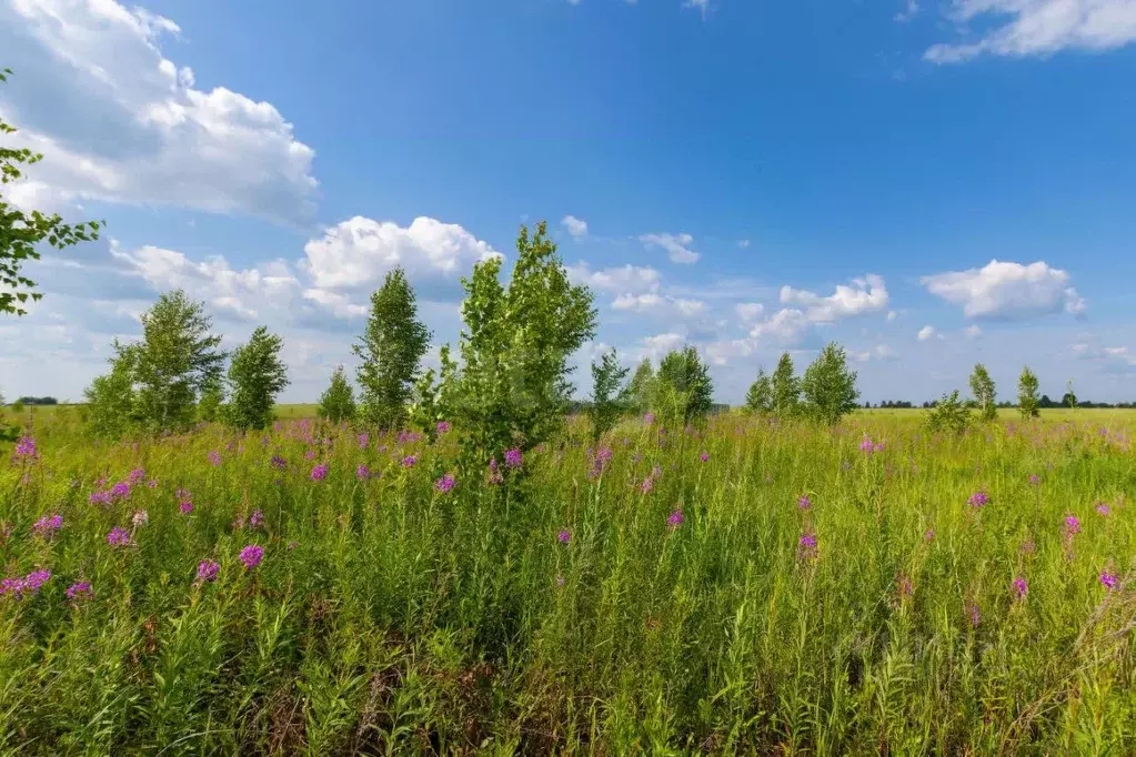 Участок в Тюменская область, Тюмень  (7.0 сот.) - Фото 1