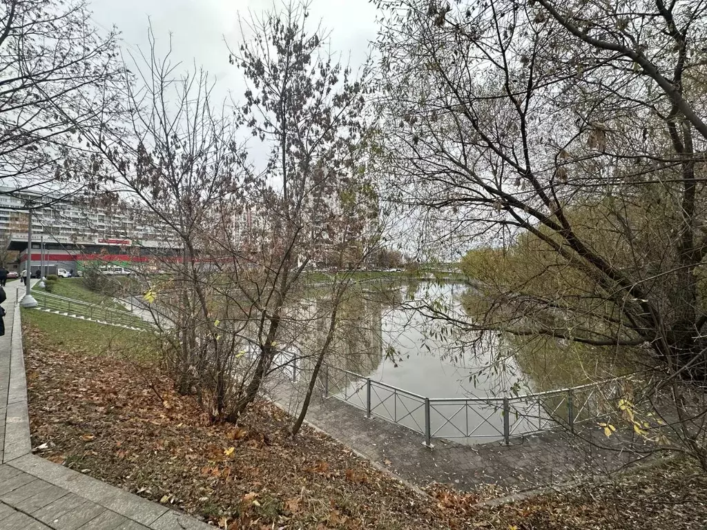 2-к кв. Москва Липецкая ул., 15к1 (52.4 м) - Фото 2