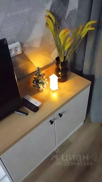 Студия Алтайский край, Барнаул Докучаево мкр, ул. Шукшина, 11 (17.0 м) - Фото 2