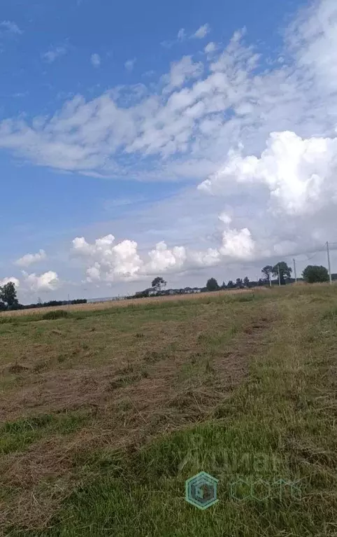 Участок в Калининградская область, Гурьевский муниципальный округ, ... - Фото 2