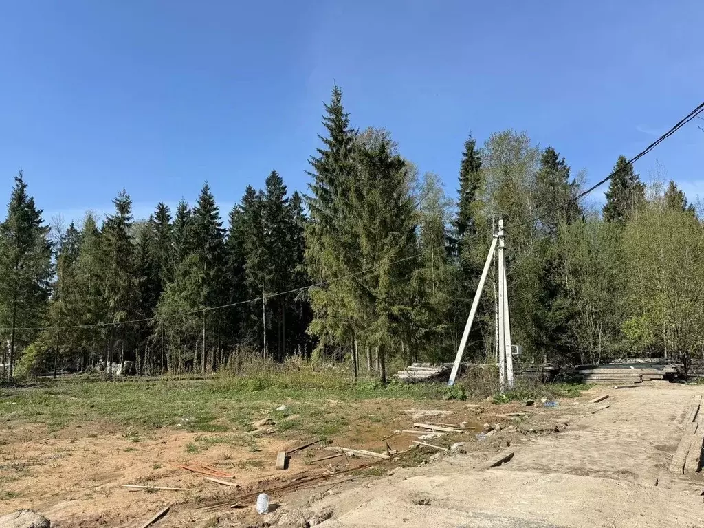 Участок в Московская область, Дмитровский муниципальный округ, д. ... - Фото 2
