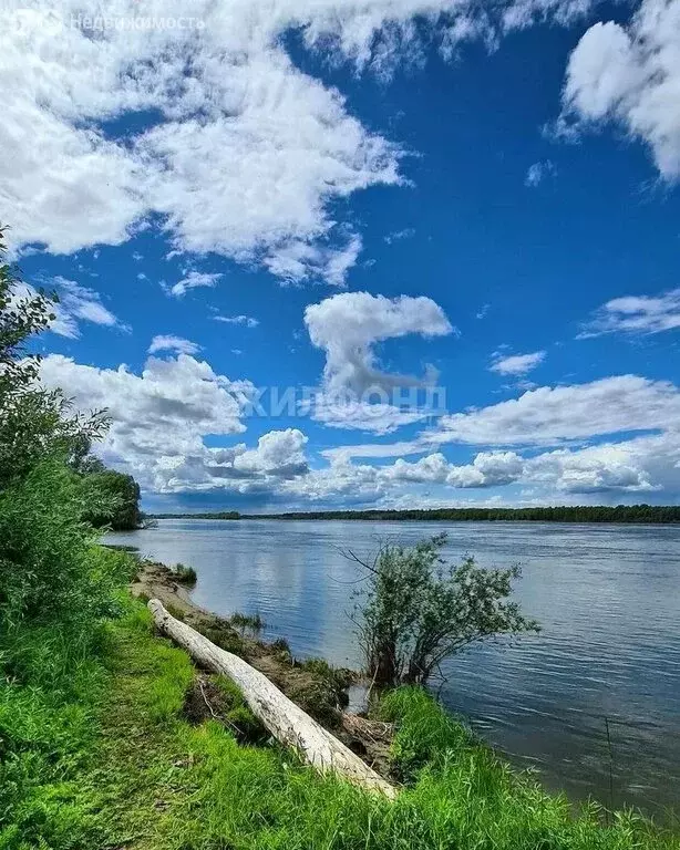 Участок в Чаинский район, село Коломино, Светлая улица (25 м) - Фото 1