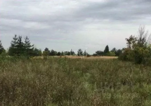 Участок в Воронежская область, Верхнехавский район, с. Углянец ул. ... - Фото 1