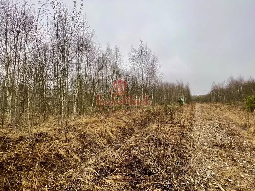 Участок в Владимирская область, Александровский муниципальный округ, ... - Фото 2
