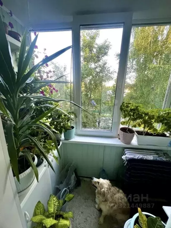 3-к кв. Коми, Сыктывкар Октябрьский просп., 10 (56.3 м) - Фото 2