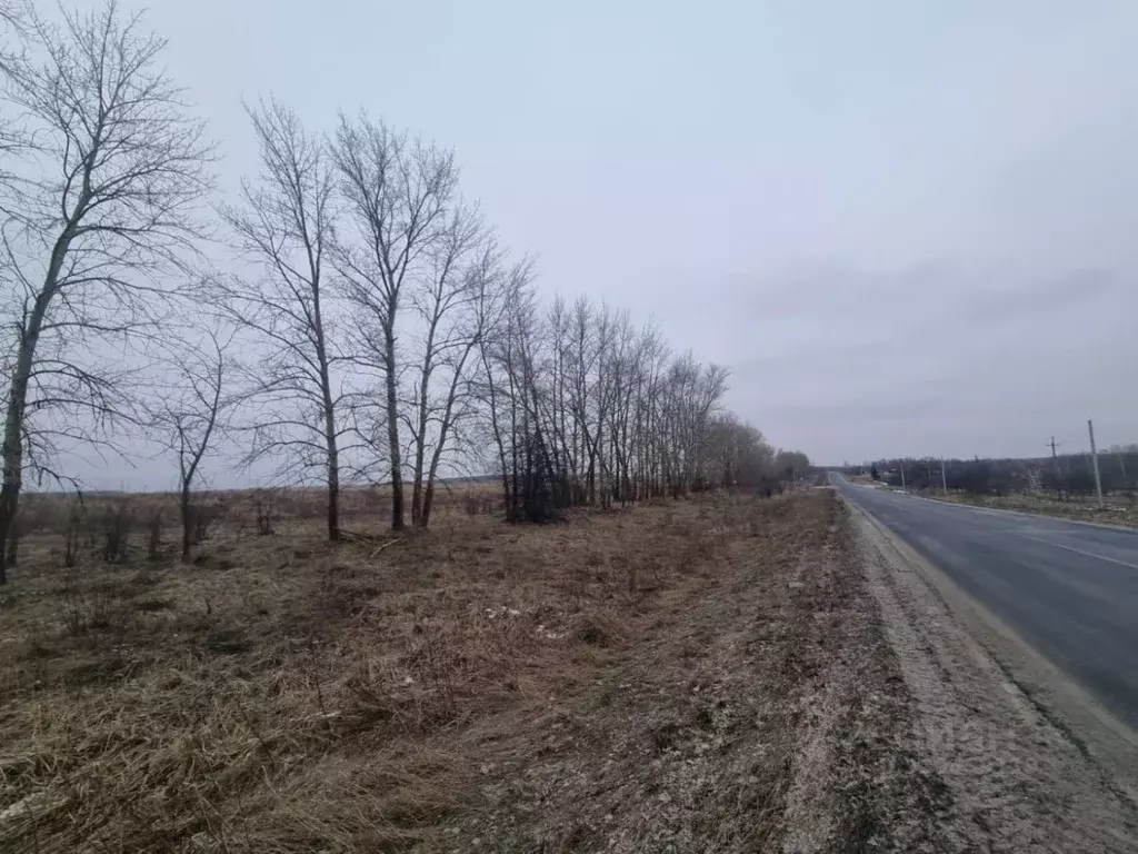 Участок в Курская область, Курский район, Клюквинский сельсовет, д. ... - Фото 2