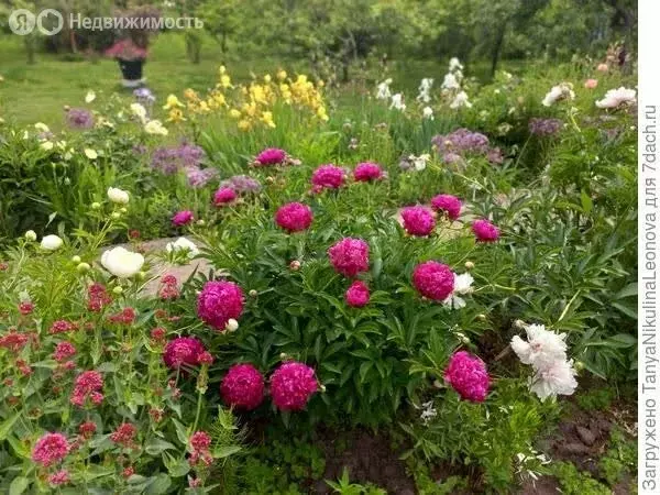 Дом в Златоуст, СНТ Часовщик (20 м) - Фото 2