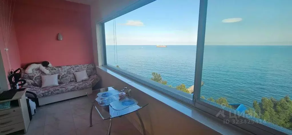 1-к кв. Крым, Ялта муниципальный округ, Ливадия пгт ул. Виноградная, ... - Фото 1