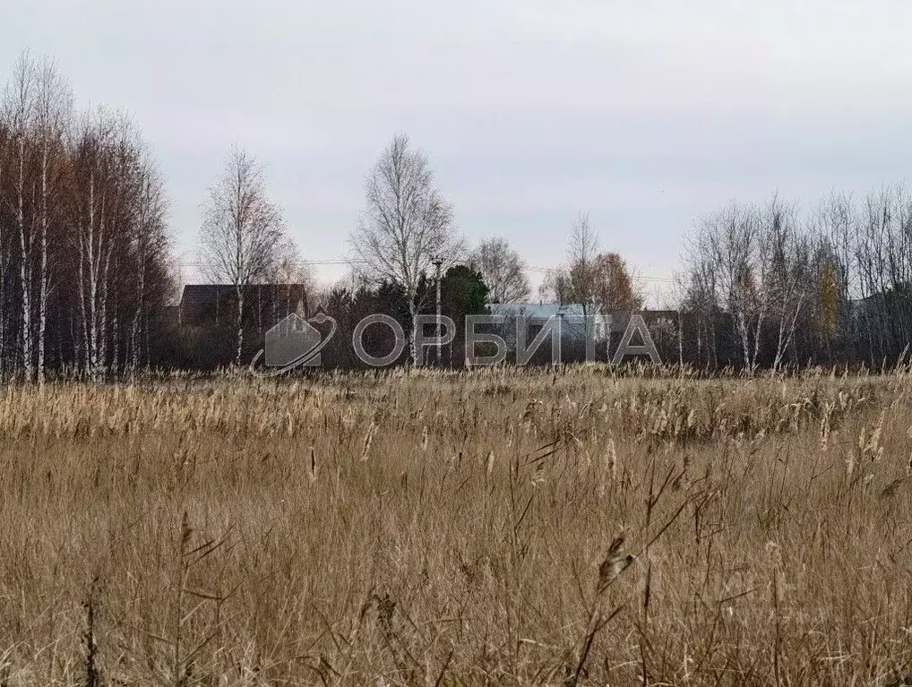 Участок в Тюменская область, Тюмень  (7.15 сот.) - Фото 0