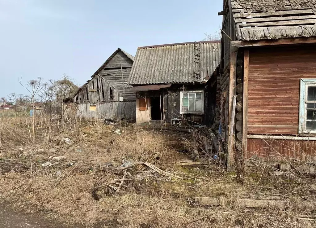Участок в Ленинградская область, Гатчинский муниципальный округ, д. ... - Фото 2