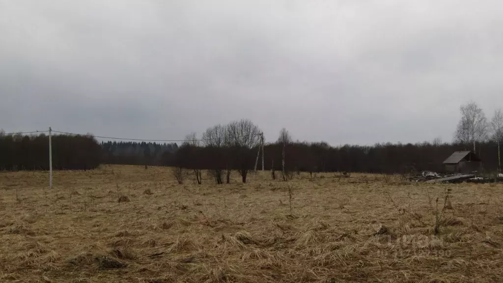 Участок в Московская область, Рузский муниципальный округ, д. ... - Фото 1