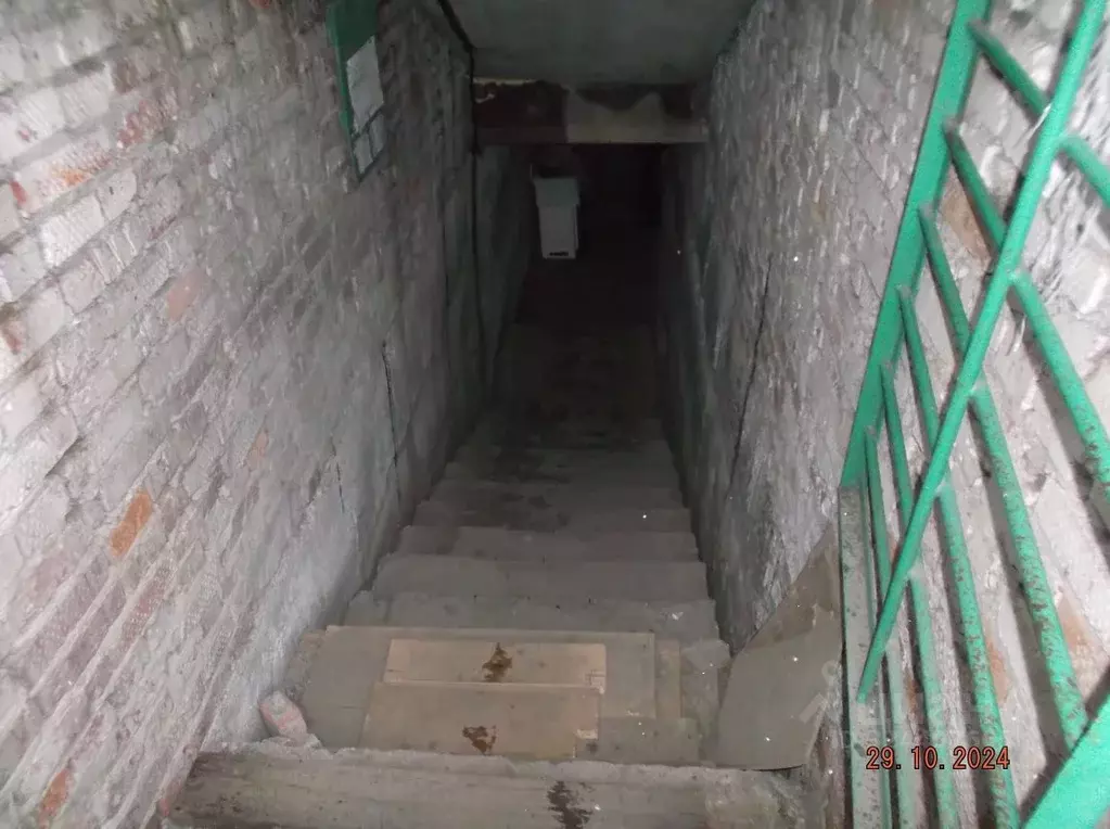 Помещение свободного назначения в Новосибирская область, Новосибирск ... - Фото 2