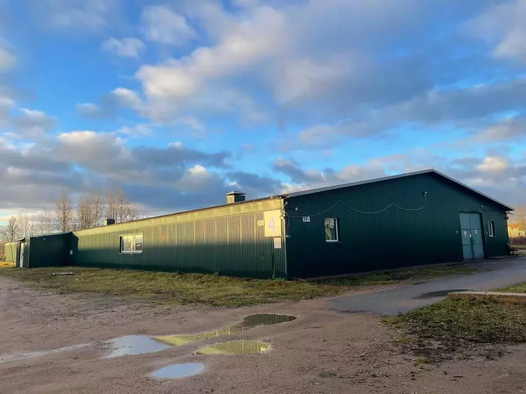 Склад в Ленинградская область, Ломоносовский район, д. Санино 42Е ... - Фото 1