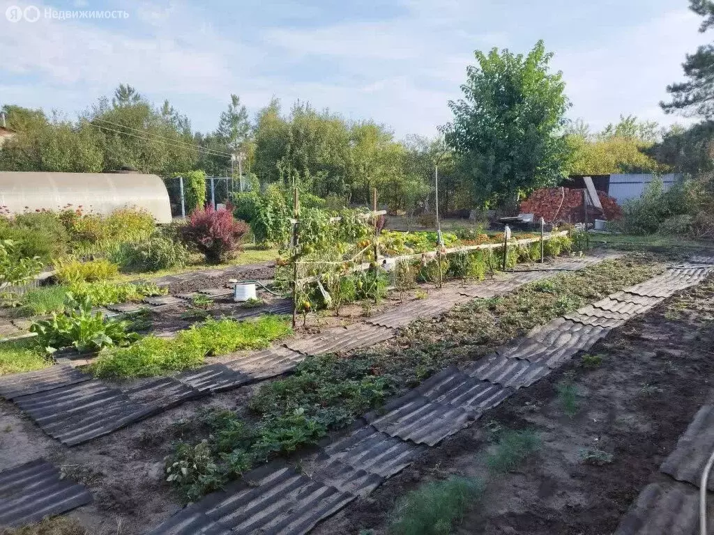 Участок в Воронеж, СНТ Берёзка, 21-я линия (5.9 м) - Фото 1