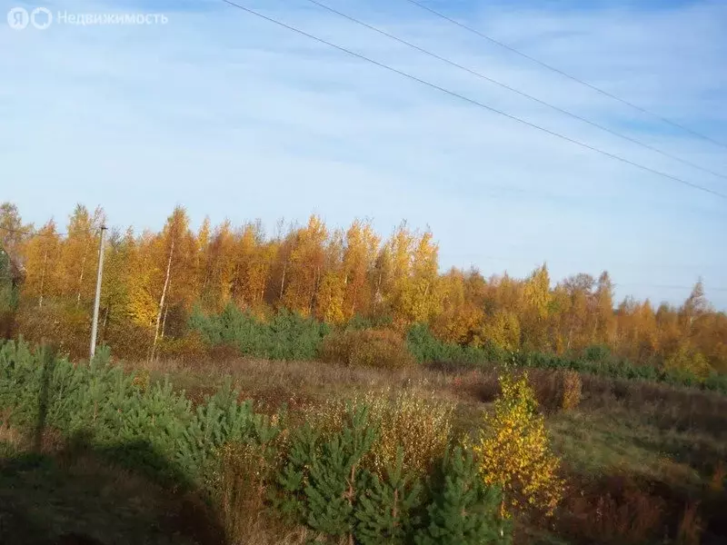 Участок в Гдовский район, Добручинская волость, деревня Мельговщина ... - Фото 0