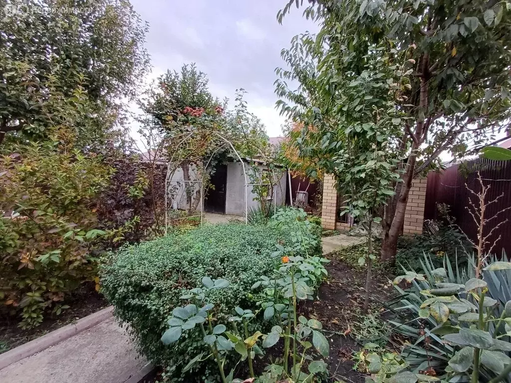 Дом в Михайловск, Андреевская улица, 23 (71 м) - Фото 0