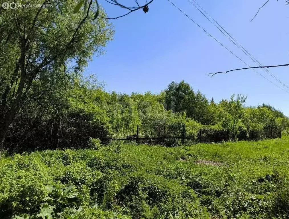 Дом в Богородский городской округ, СНТ Овощевод, 1 (50.4 м) - Фото 1