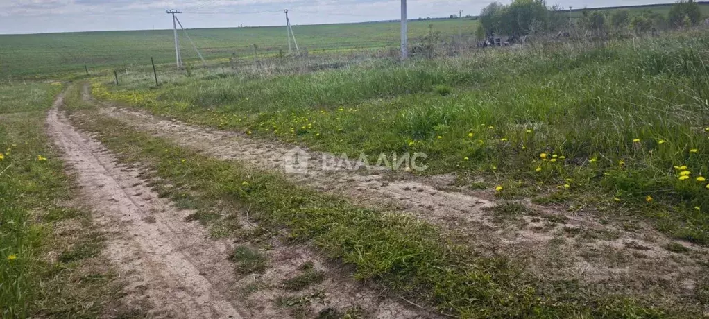 Участок в Владимирская область, Судогодский район, д. Аксеново  (15.0 ... - Фото 1