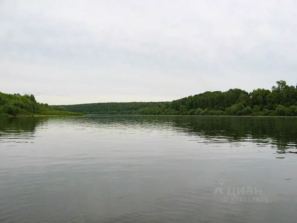 Участок в Тульская область, Ясногорский район, Иваньковское с/пос, д. ... - Фото 1