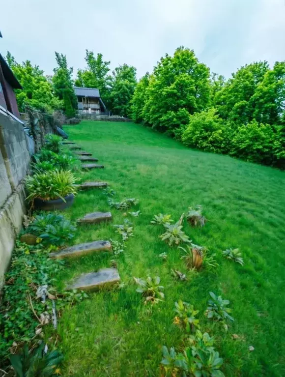 Участок в Краснодарский край, Сочи Кавказ СНТ, 3 (5.8 сот.) - Фото 1