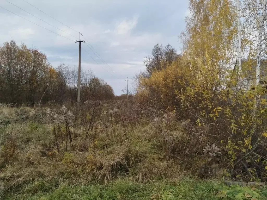 Участок в Брянская область, Карачевское городское поселение, д. ... - Фото 1