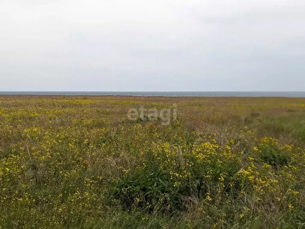 Участок в Крым, Черноморский район, с. Окуневка ул. Крупской (100.0 ... - Фото 0