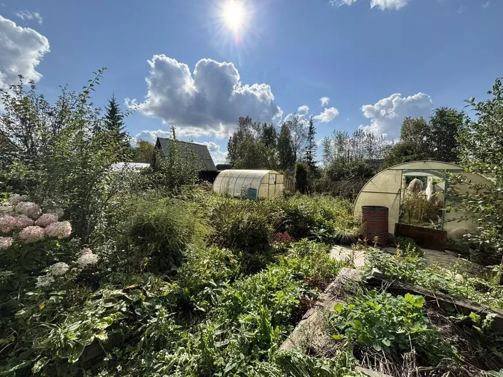 Участок в Свердловская область, Нижний Тагил УВЗ № 7 КС,  (5.8 сот.) - Фото 1