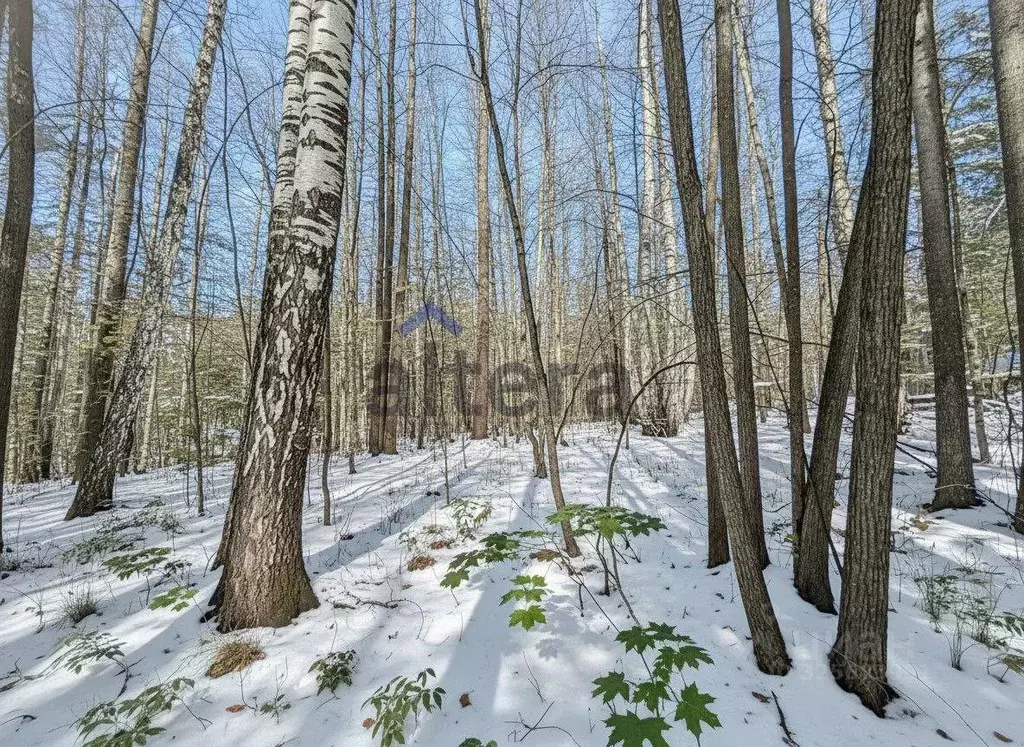 Участок в Татарстан, Лаишевский район, Матюшинское с/пос, Светлая ... - Фото 2