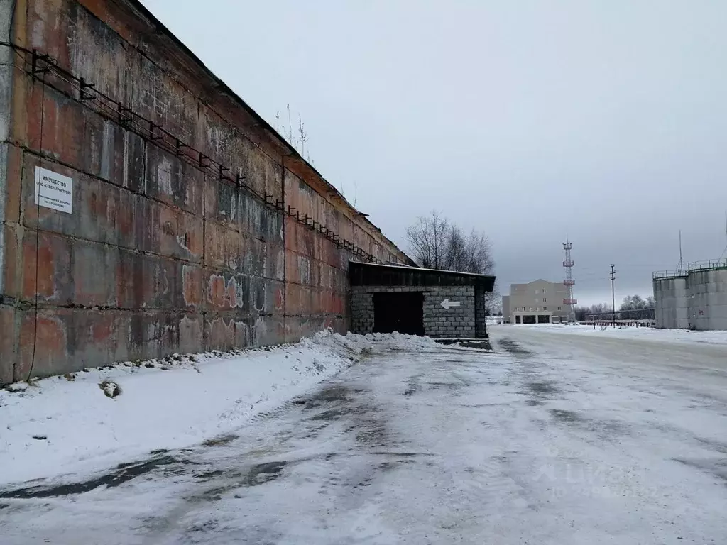 Склад в Ханты-Мансийский АО, Сургут Пионерная ул., 11/2 (1877 м) - Фото 2