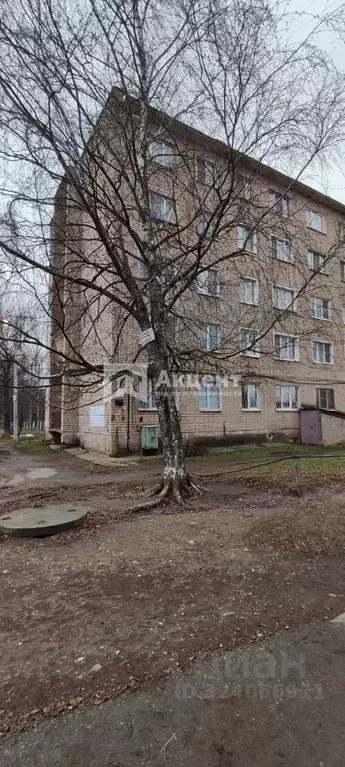 1-к кв. Ивановская область, Иваново ТЭЦ-3 мкр, 12 (22.1 м) - Фото 0