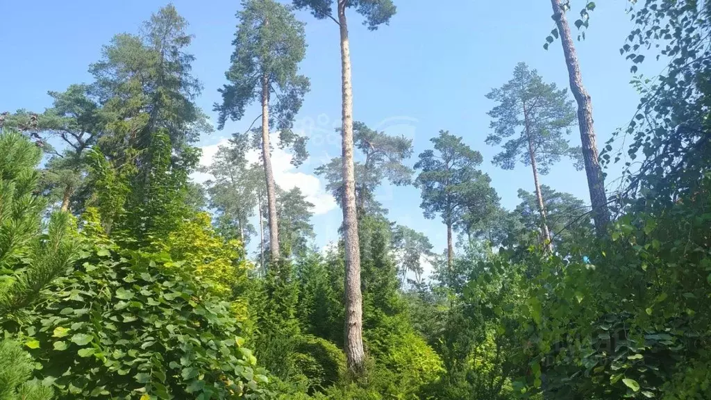 Участок в Московская область, Одинцовский городской округ, пос. ... - Фото 2