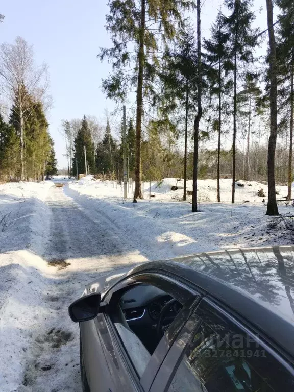 Участок в Московская область, Щелково городской округ, Окружная тер. ... - Фото 2