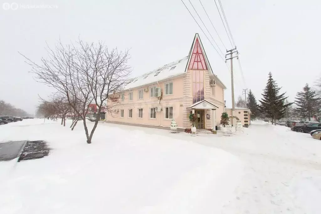 Офис (513 м) - Фото 2