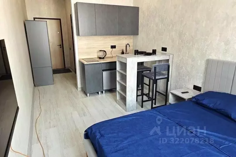 1-к кв. Московская область, Одинцовский городской округ, ... - Фото 2