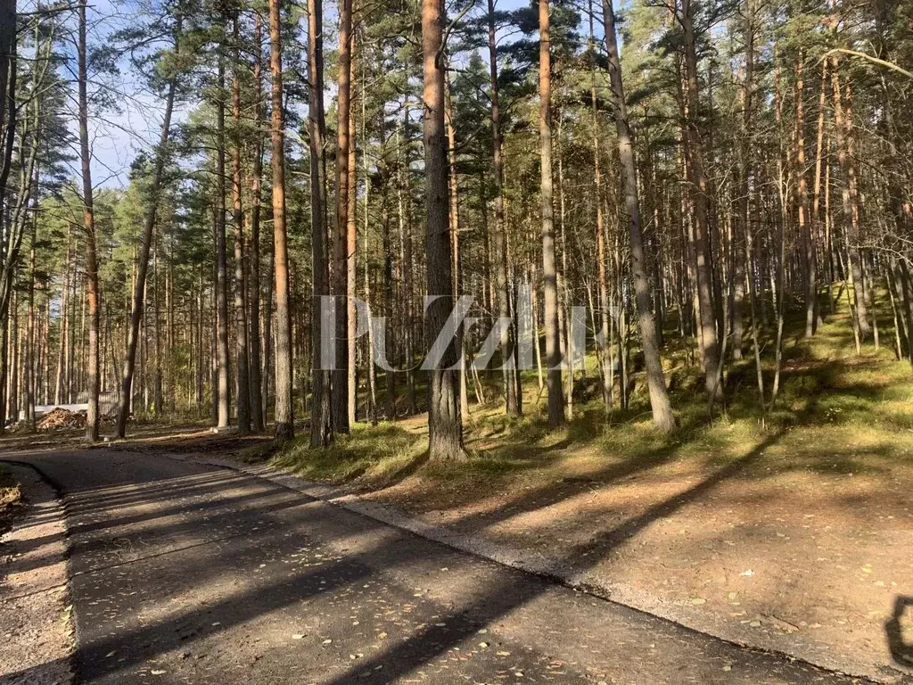 Участок в Ленинградская область, Приозерский район, Петровское с/пос, ... - Фото 1