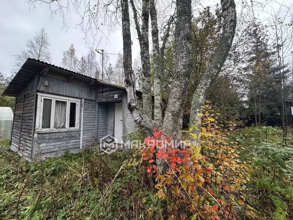 Участок в Ленинградская область, Выборгский район, Рощинское городское ... - Фото 2