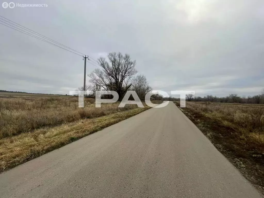 Участок в село Старый Эртиль, Песчаная улица, 2 (50 м) - Фото 2