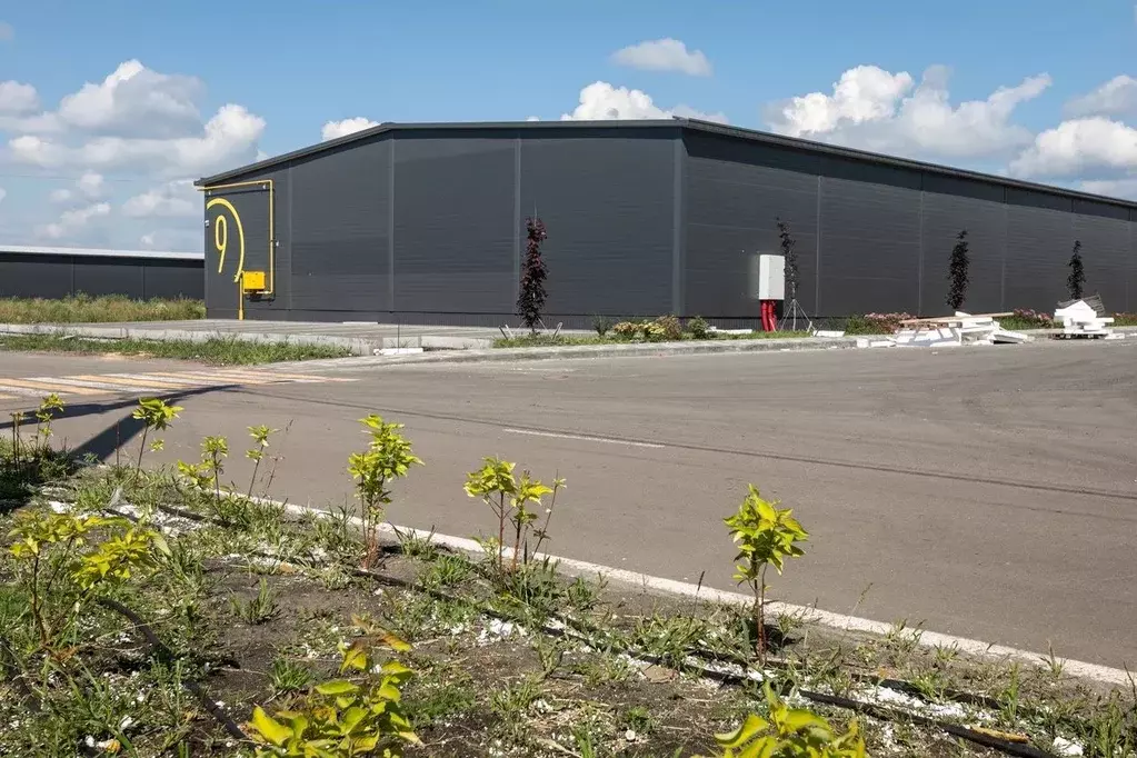 Помещение свободного назначения в Воронежская область, Новоусманский ... - Фото 1