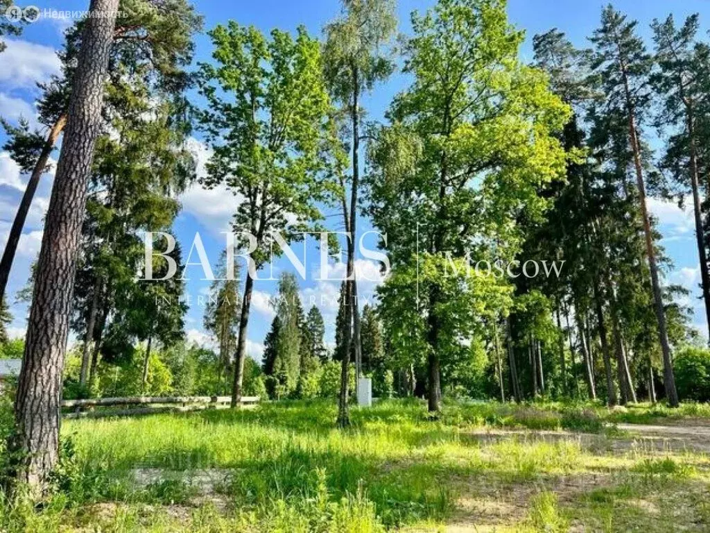 Участок в Одинцовский городской округ, территориальное управление ... - Фото 0