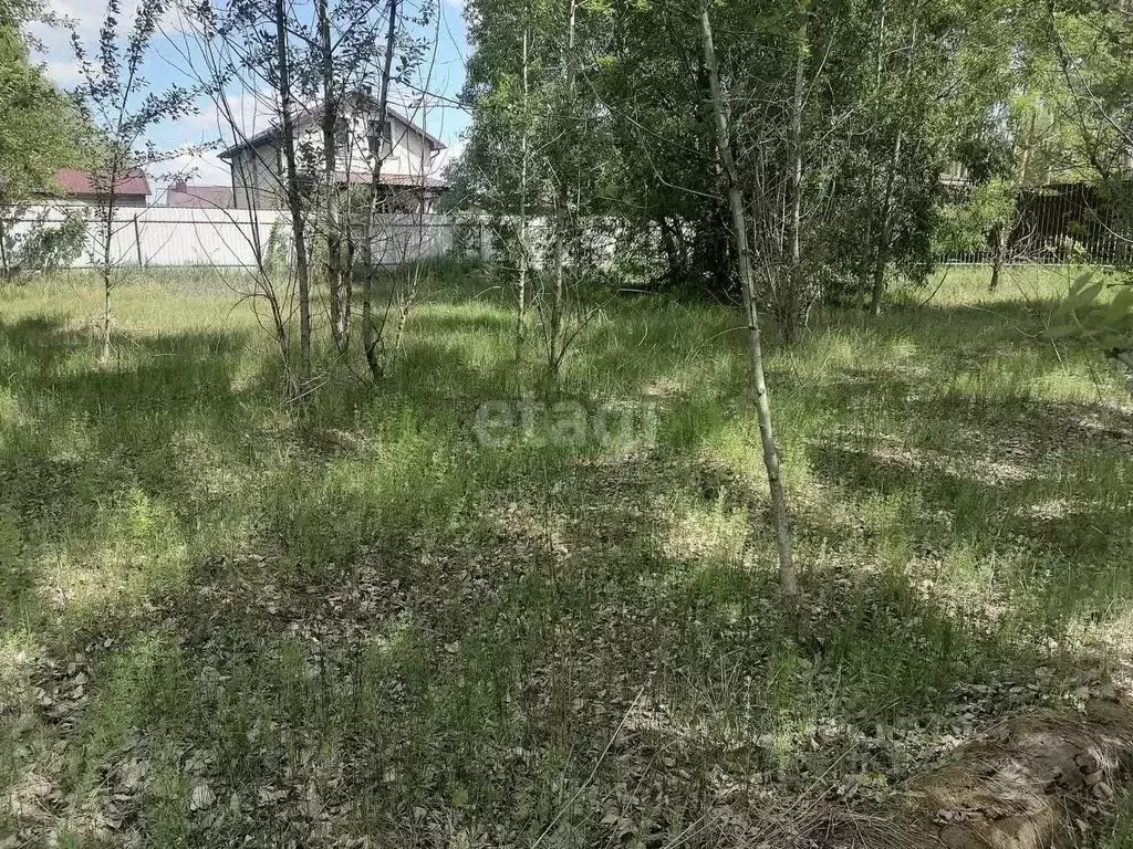 Участок в Воронежская область, с. Новая Усмань ул. Захлебная, 1 (8.0 ... - Фото 1