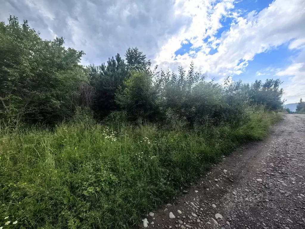 Участок в Алтай, Майминский район, Манжерокское с/пос, с. Озерное ул. ... - Фото 1