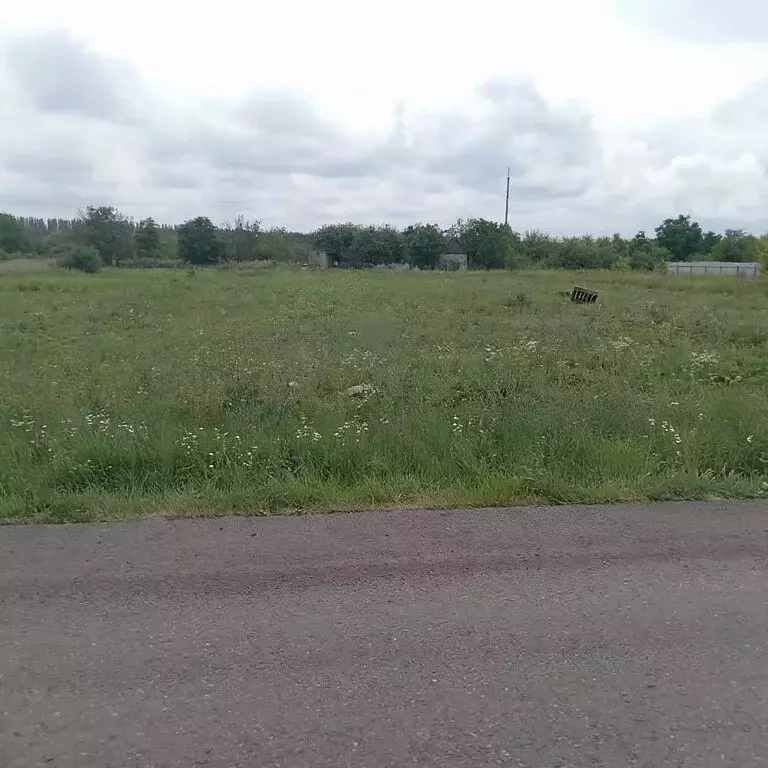 Участок в село Стрелецкое, Узорная улица (19.5 м) - Фото 1