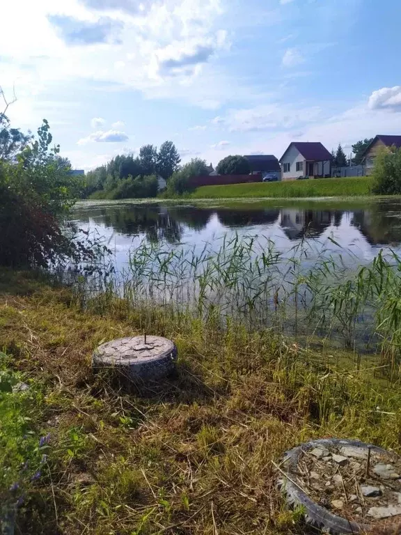 Участок в Новосибирская область, Новосибирск Молодость СНТ, ул. ... - Фото 1