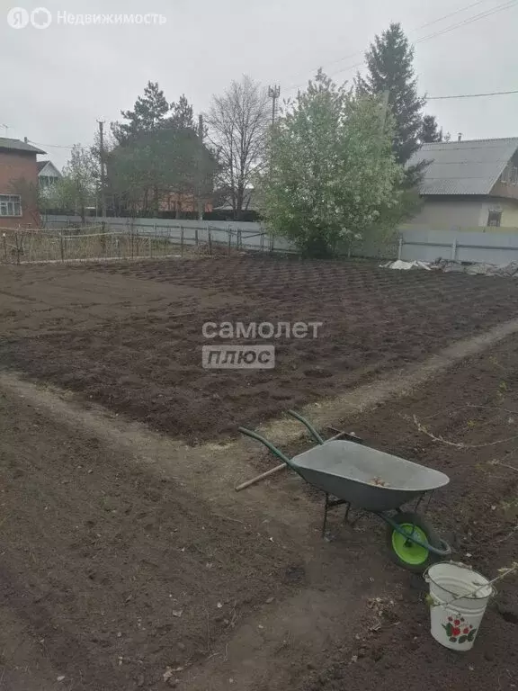 Участок в муниципальный округ Омский район, СНТ Тепличный-1 (6 м) - Фото 1