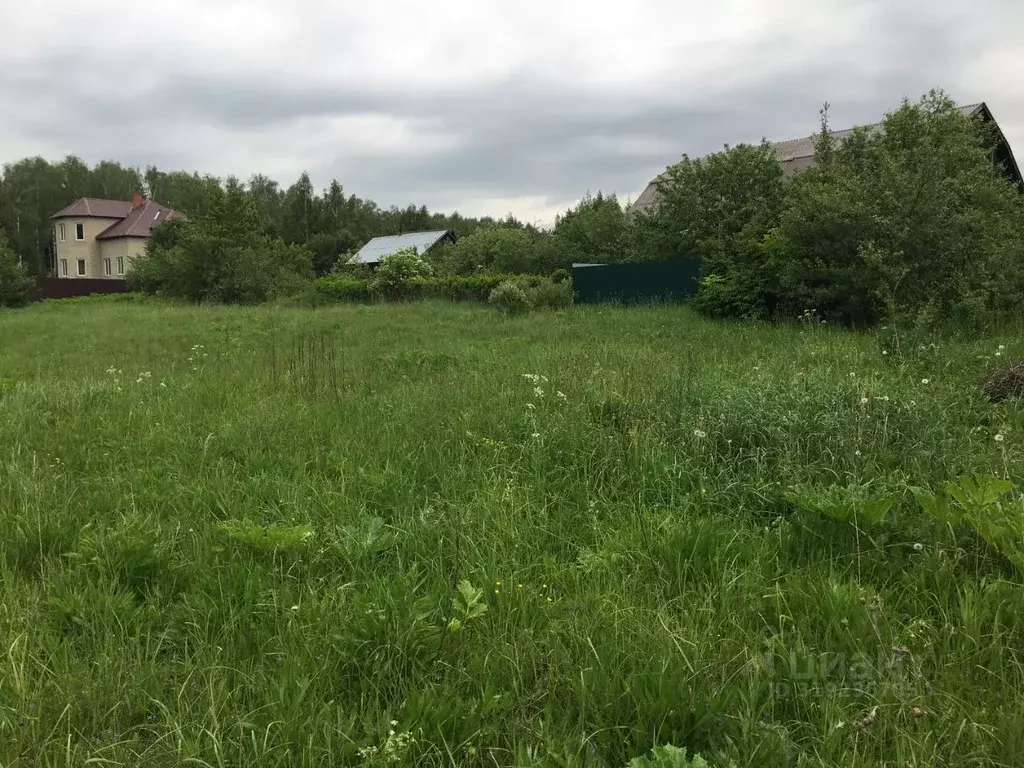 Участок в Московская область, Пушкинский городской округ, д. Дарьино  ... - Фото 1