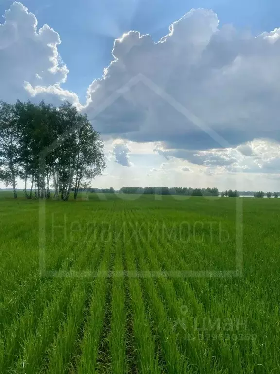 Участок в Омская область, Тюкалинск ул. Ленина (106800.0 сот.) - Фото 1