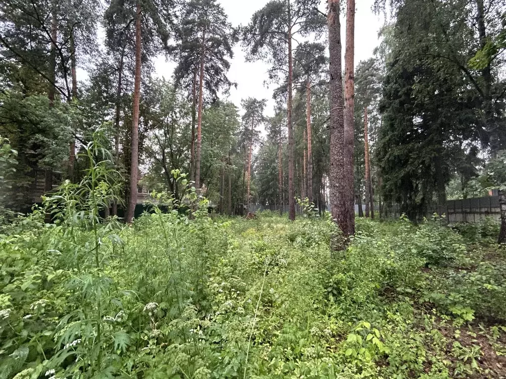 Участок в Московская область, Люберцы городской округ, Малаховка рп ... - Фото 0