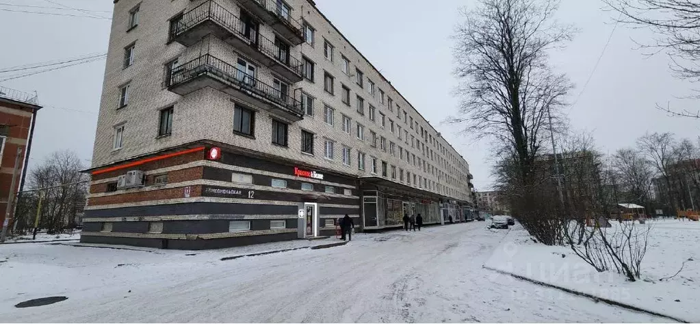 Помещение свободного назначения в Ленинградская область, Никольское ... - Фото 0