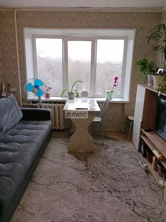 Комната Челябинская область, Челябинск ул. Гончаренко, 71А (19.0 м) - Фото 2