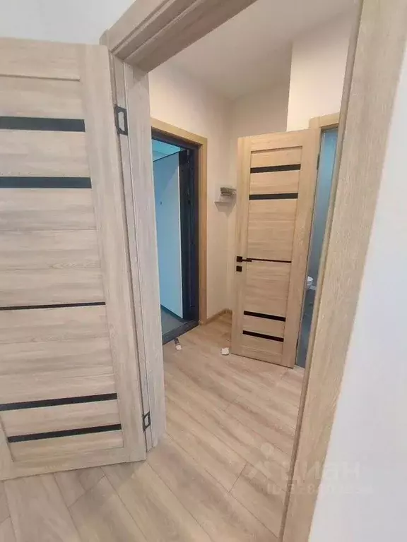 Студия Новосибирская область, Новосибирский район, Мочищенский ... - Фото 1